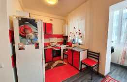 Vanzare apartament cu 1 camera, mobilat, zona Terra!