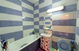 Vanzare apartament cu 1 camera, mobilat, zona Terra!