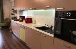 Apartament 3 camere, 75 mp, etaj intermediar, mobilat si utilat, zona Brancusi!