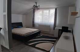 Apartament cu o camera, 40 mp, loc de parcare, zona Sub Cetate