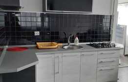 Apartament cu o camera, 40 mp, loc de parcare, zona Sub Cetate