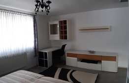 Apartament cu o camera, 40 mp, loc de parcare, zona Sub Cetate