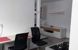 Apartament cu o camera, 40 mp, loc de parcare, zona Sub Cetate