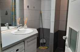 Apartament cu o camera, 40 mp, loc de parcare, zona Sub Cetate