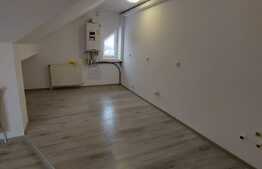 Vanzare 2 camere, 53 mp, zona Muzeul Apei!