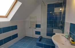 Vanzare 2 camere, 53 mp, zona Muzeul Apei!