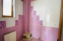 Casa individuala cu 9 camere, 450 mp utili, 100 mp curte, parcare, zona strazii Sf. Ioan