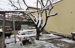 Casa individuala de vanzare, 391 mp teren, Gruia