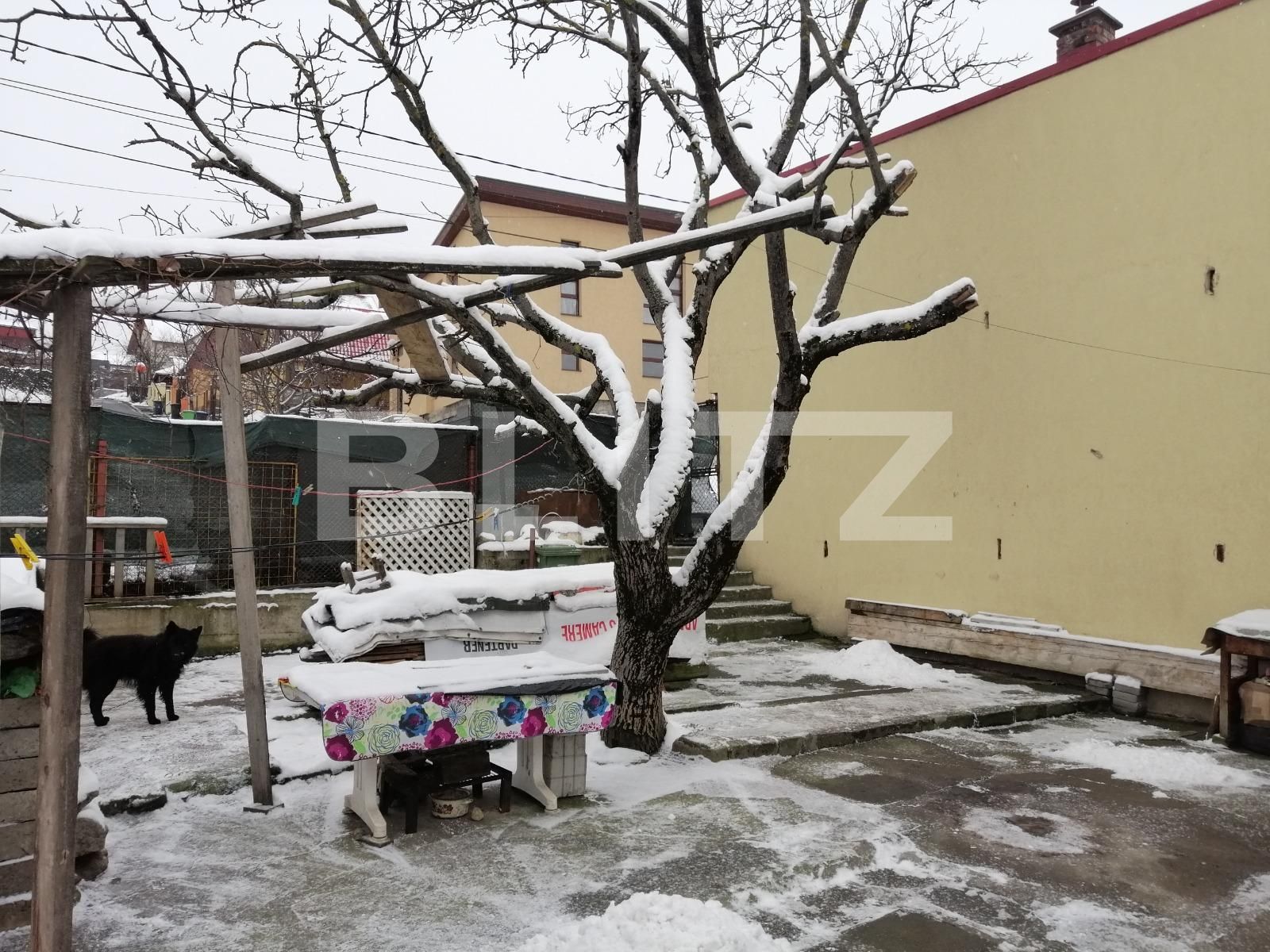 Casa de vânzare 2 camere Gruia - 59777CV | BLITZ Cluj-Napoca | Poza3