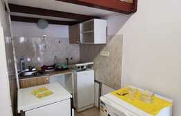 Garsoniera pet friendly, cu nisa de dormit, situata ultracentral, zona Piata Unirii