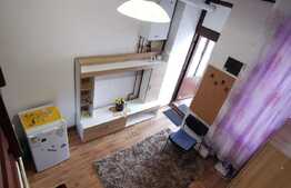 Garsoniera pet friendly, cu nisa de dormit, situata ultracentral, zona Piata Unirii