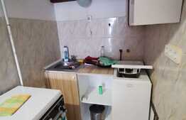 Garsoniera pet friendly, cu nisa de dormit, situata ultracentral, zona Piata Unirii