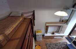 Garsoniera pet friendly, cu nisa de dormit, situata ultracentral, zona Piata Unirii