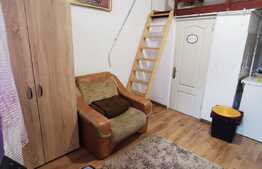 Garsoniera pet friendly, cu nisa de dormit, situata ultracentral, zona Piata Unirii