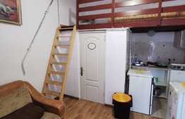 Garsoniera pet friendly, cu nisa de dormit, situata ultracentral, zona Piata Unirii