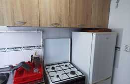 Apartament cu 1 camera, dispus pe 2 niveluri, cu nisa de dormit, 37 de mp, pet friendly, zona Iulius Mall