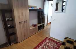 Apartament cu 1 camera, dispus pe 2 niveluri, cu nisa de dormit, 37 de mp, pet friendly, zona Iulius Mall