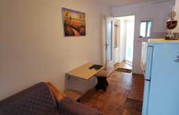 Apartament cu 1 camera, 25 de mp, pet friendly, zona Iulius Mall