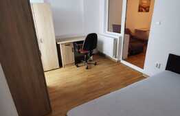 Apartament cu 1 camera, 25 de mp, pet friendly, zona Iulius Mall