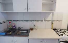 Apartament cu 1 camera, 25 de mp, pet friendly, zona Iulius Mall