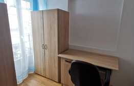 Apartament cu 1 camera, 25 de mp, pet friendly, zona Iulius Mall