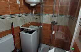 Apartament cu 1 camera, 25 de mp, pet friendly, zona Iulius Mall