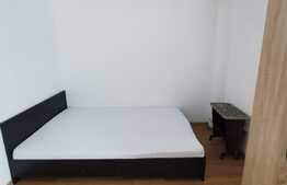 Apartament cu 1 camera, 25 de mp, pet friendly, zona Iulius Mall