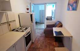 Apartament cu 1 camera, 25 de mp, pet friendly, zona Iulius Mall