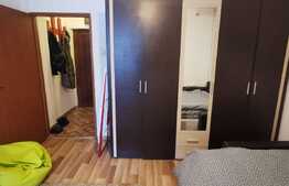 Garsoniera decomandata, 30 de mp, pet friendly, zona Teatrul National