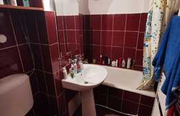 Garsoniera decomandata, 30 de mp, pet friendly, zona Teatrul National