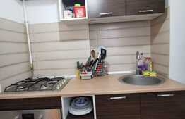 Garsoniera decomandata, 30 de mp, pet friendly, zona Teatrul National
