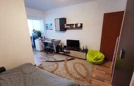 Garsoniera decomandata, 30 de mp, pet friendly, zona Teatrul National