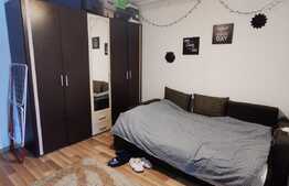 Garsoniera decomandata, 30 de mp, pet friendly, zona Teatrul National