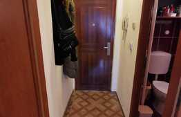 Garsoniera decomandata, 30 de mp, pet friendly, zona Teatrul National