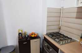 Garsoniera decomandata, 30 de mp, pet friendly, zona Teatrul National