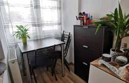 Garsoniera decomandata, 30 de mp, pet friendly, zona Teatrul National