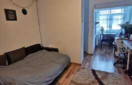 Garsoniera decomandata, 30 de mp, pet friendly, zona Teatrul National