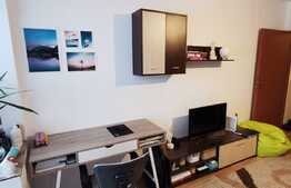 Garsoniera decomandata, 30 de mp, pet friendly, zona Teatrul National