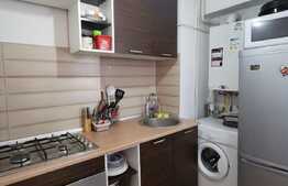 Garsoniera decomandata, 30 de mp, pet friendly, zona Teatrul National