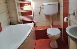 Apartament cu o camera, preluare chiriasi, mobilat lux 34mp, zona Liberty Park 