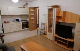 Apartament 2 camere, bucatarie open space, cartier Astra!