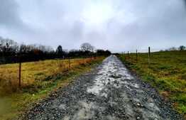 Teren intravilan 1190mp, situat in cartierul Becas, in zona de case