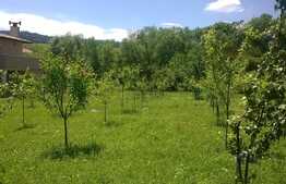 Teren intravilan 1190mp, situat in cartierul Becas, in zona de case