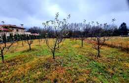 Teren intravilan 1190mp, situat in cartierul Becas, in zona de case