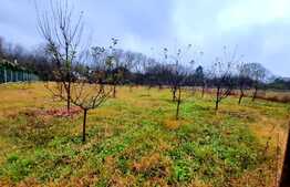 Teren intravilan 1190mp, situat in cartierul Becas, in zona de case