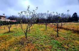 Teren intravilan 1190mp, situat in cartierul Becas, in zona de case