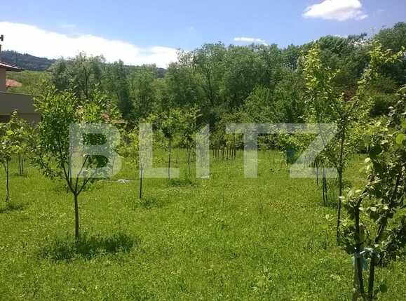 Teren de vânzare Becaş - 59802TV | BLITZ Cluj-Napoca | Poza2