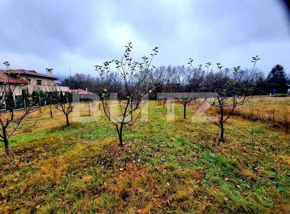 Teren de vânzare Becaş - 59802TV | BLITZ Cluj-Napoca | Poza6