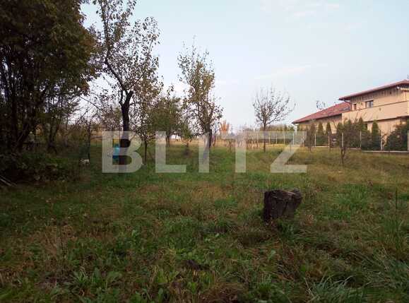 Teren de vânzare Becaş - 59802TV | BLITZ Cluj-Napoca | Poza5