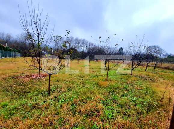 Teren de vânzare Becaş - 59802TV | BLITZ Cluj-Napoca | Poza1